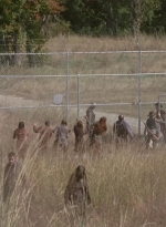 twd315-000434.jpg