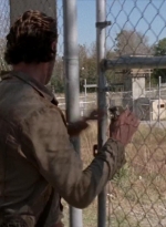 twd315-000447.jpg