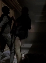 twd315-001161.jpg