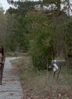 twd315-001417.jpg