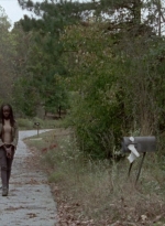 twd315-001418.jpg