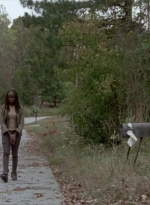 twd315-001420.jpg