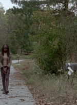 twd315-001421.jpg