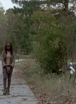 twd315-001422.jpg