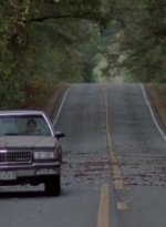 twd315-002188.jpg