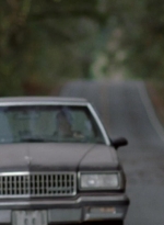 twd315-002193.jpg