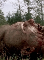 twd315-002205.jpg
