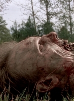 twd315-002207.jpg