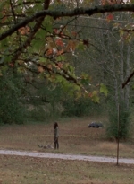 twd315-002235.jpg