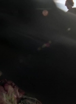 twd315-002444.jpg