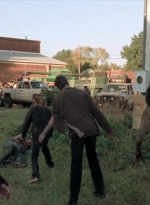 twd315-002458.jpg