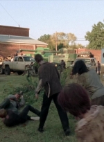 twd315-002459.jpg