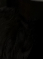 twd315-002479.jpg