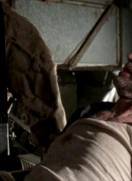 twd315-002533.jpg