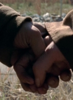 twd315-002591.jpg