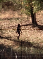 twd315-002850.jpg