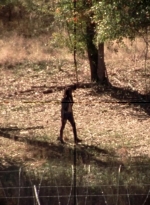 twd315-002851.jpg