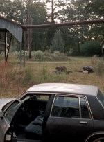 twd315-002880.jpg