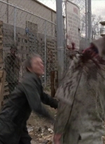 WD316HD_1660.jpg