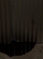 WD316HD_1886.jpg