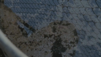 thewalkingdead0401-0020.jpg