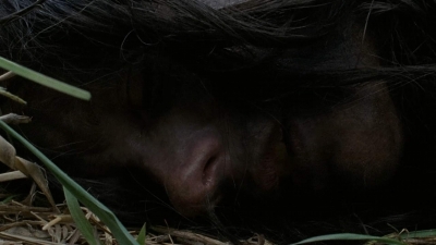thewalkingdead0401-2331.jpg