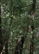 thewalkingdead0401-0999.jpg