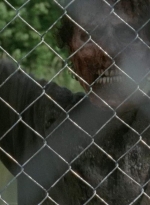 thewalkingdead0401-1176.jpg