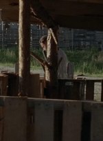 thewalkingdead0401-2502.jpg