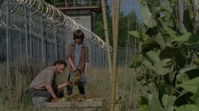 Click to view full size image
==============
thewalkingdead0402-0594.jpg thewalkingdead0402-0594.jpg