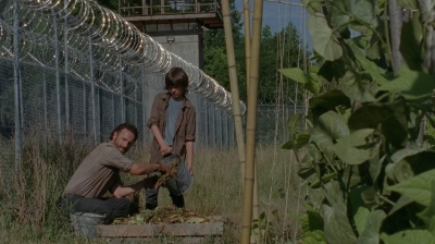 thewalkingdead0402-0599.jpg