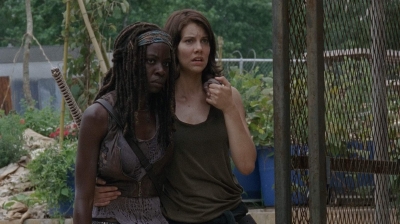 thewalkingdead0402-1446.jpg