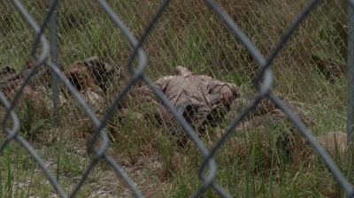 thewalkingdead0402-1708.jpg