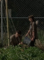 thewalkingdead0402-0580.jpg