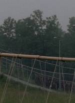 thewalkingdead0402-0581.jpg
