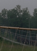 thewalkingdead0402-0582.jpg