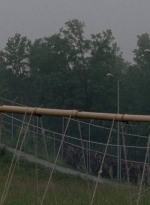 thewalkingdead0402-0583.jpg