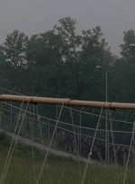 thewalkingdead0402-0584.jpg