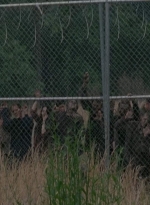 thewalkingdead0402-0588.jpg