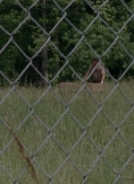 thewalkingdead0402-2408.jpg