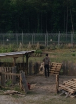 thewalkingdead0402-2592.jpg