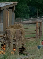 thewalkingdead0402-2725.jpg
