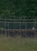 thewalkingdead0402-2846.jpg
