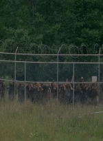 thewalkingdead0402-2847.jpg