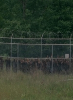 thewalkingdead0402-2848.jpg
