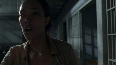 twd403-0434.jpg