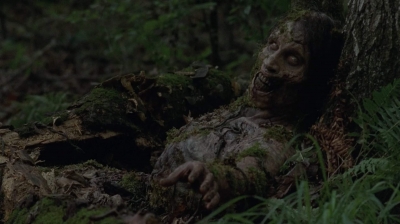 twd403-1474.jpg