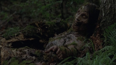 twd403-1475.jpg
