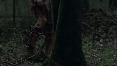 twd403-1493.jpg
