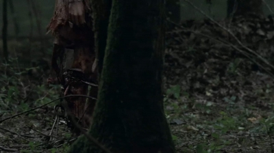 twd403-1494.jpg